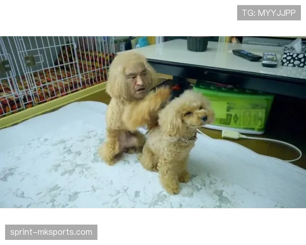 高磊家的狗吃的都比我一个月工资还贵